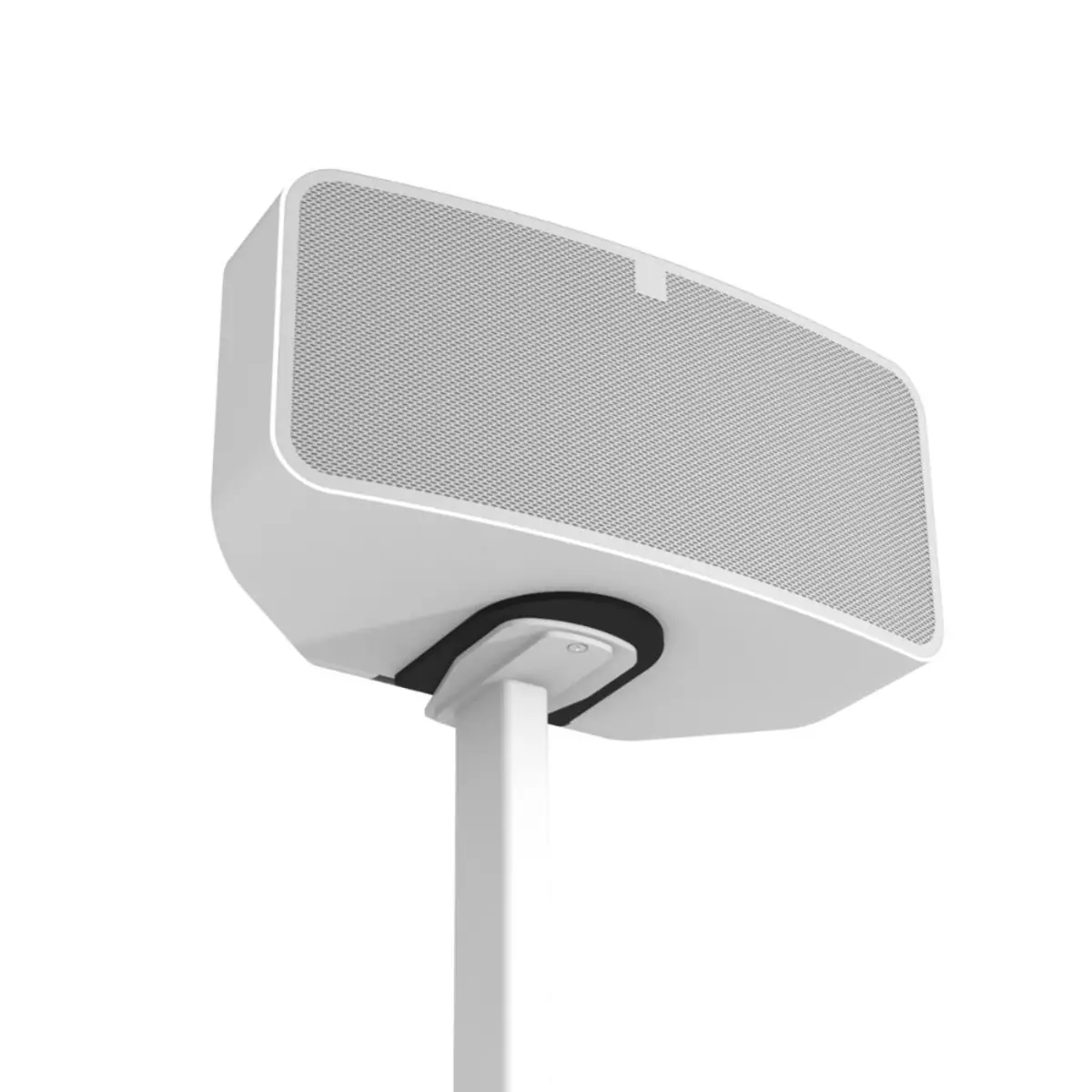 CSBP2W Vloerstandaard voor Bluesound Pulse 2 en Mini 2