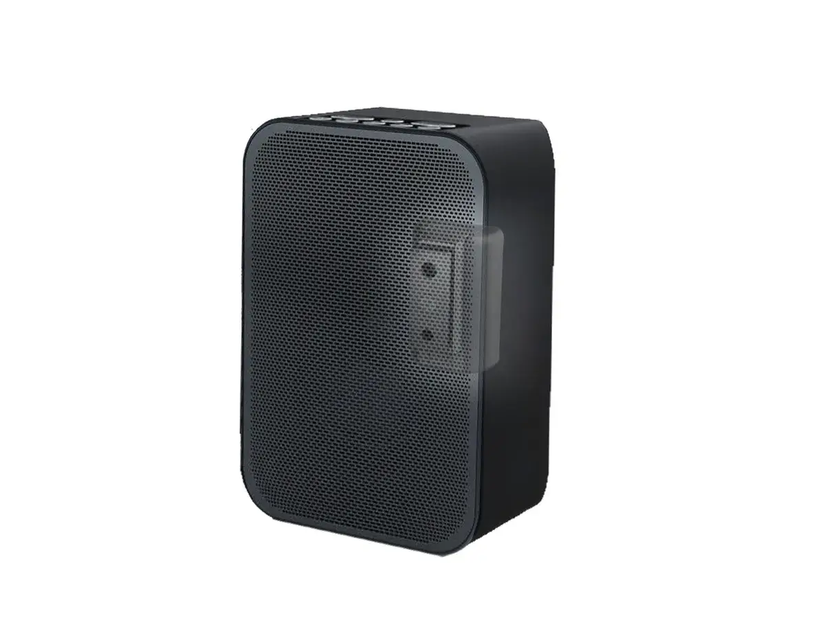 CMBPFB Muurbeugel voor Bluesound Pulse Flex