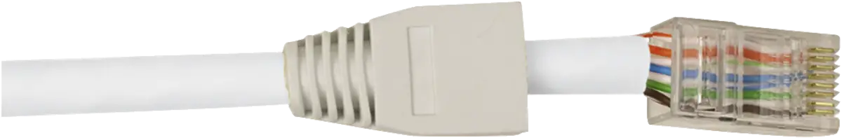 CAT 6 dataconnector RJ 45 met witte thule - 10 stuks