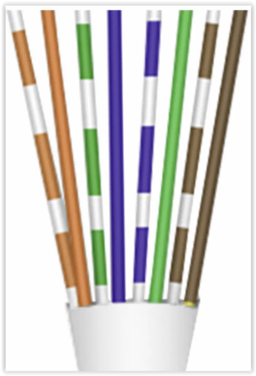 CAT 6 dataconnector RJ 45 met witte thule - 10 stuks