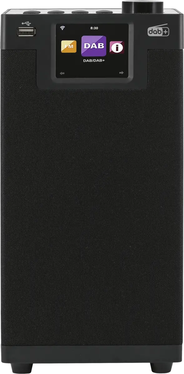 DABMAN i610