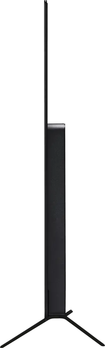 OLED55B42LA
