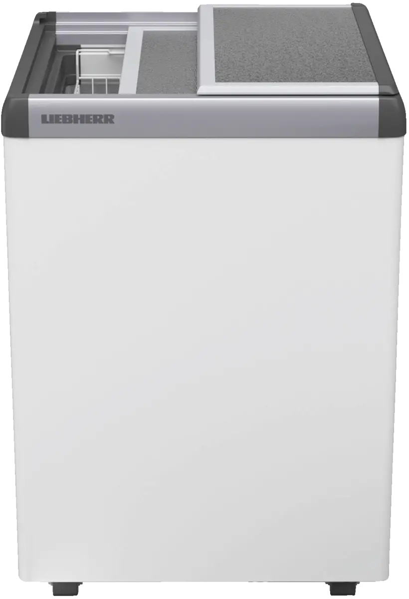 EFE 1500-21
