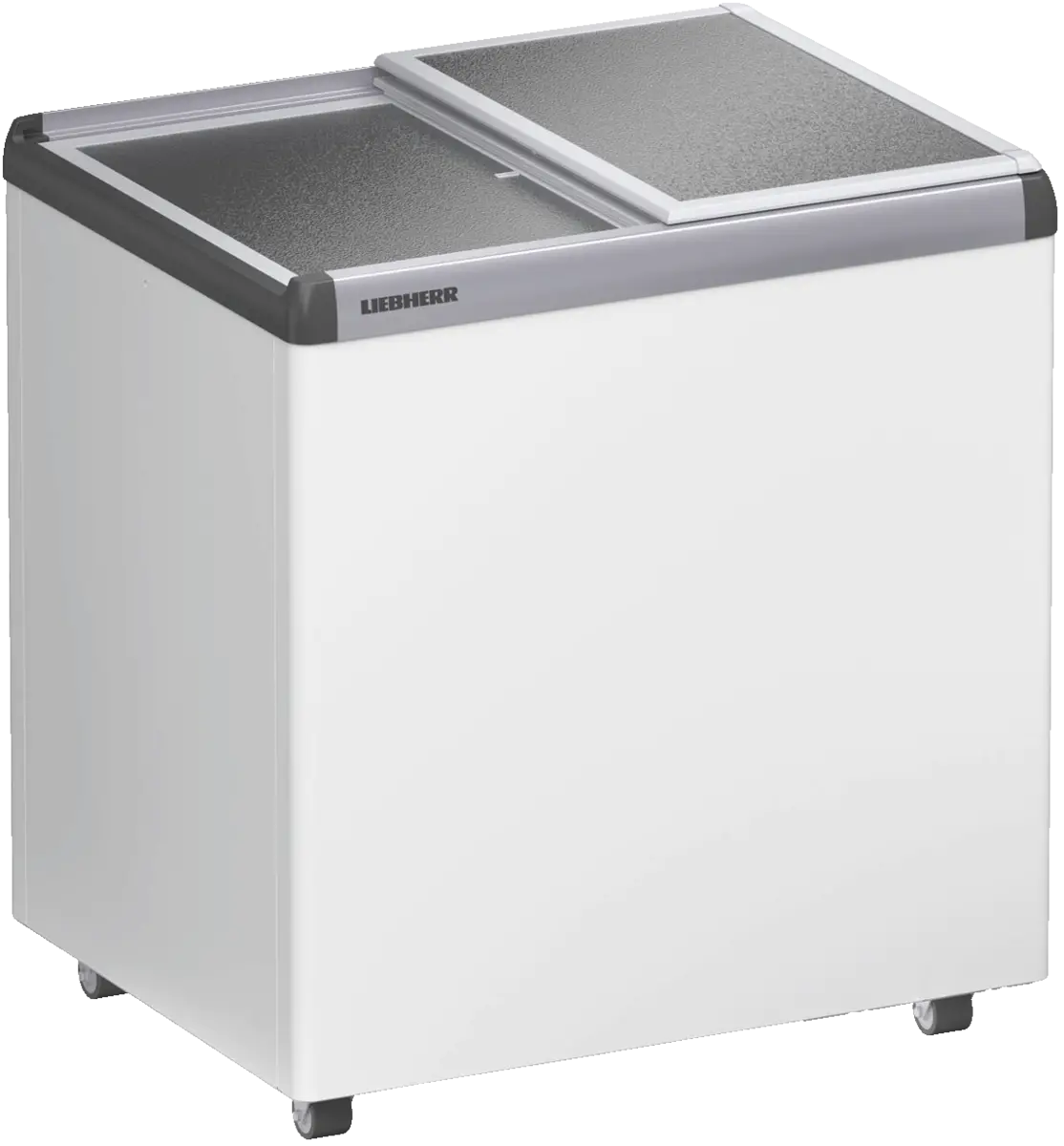 EFE 2200-21