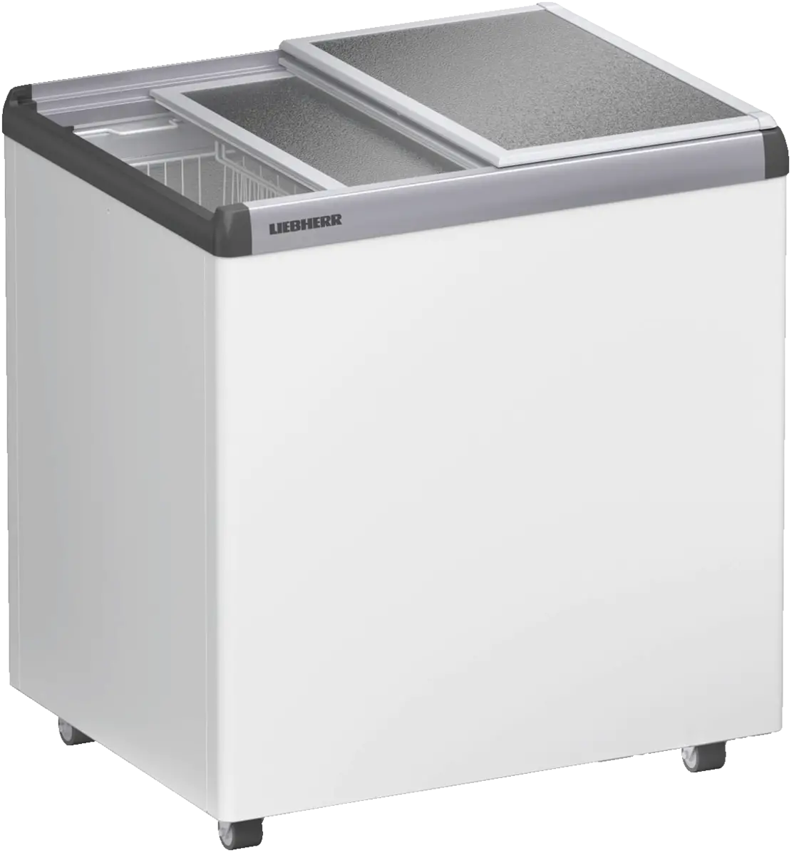 EFE 2200-21