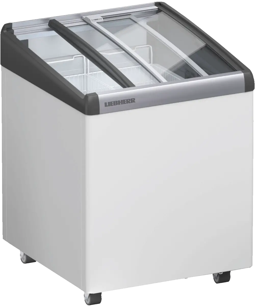 EFI 1453-21