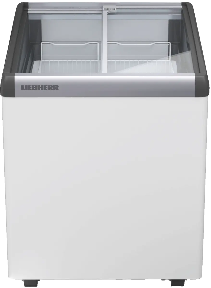 EFI 1453-21
