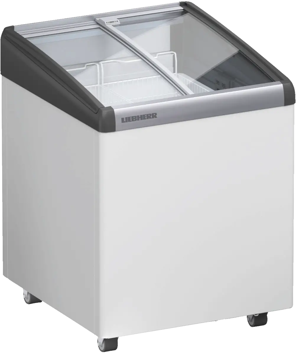 EFI 1453-21
