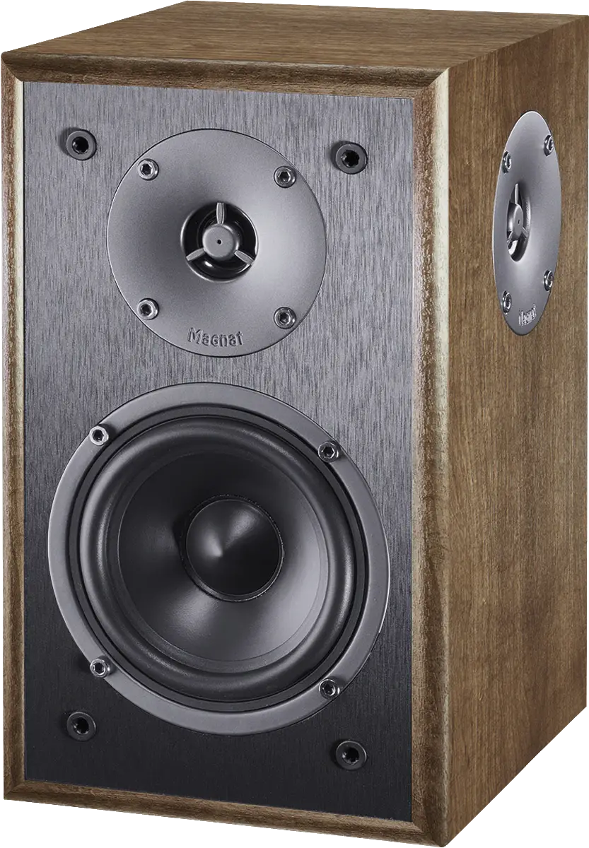 Monitor S10 D Paar