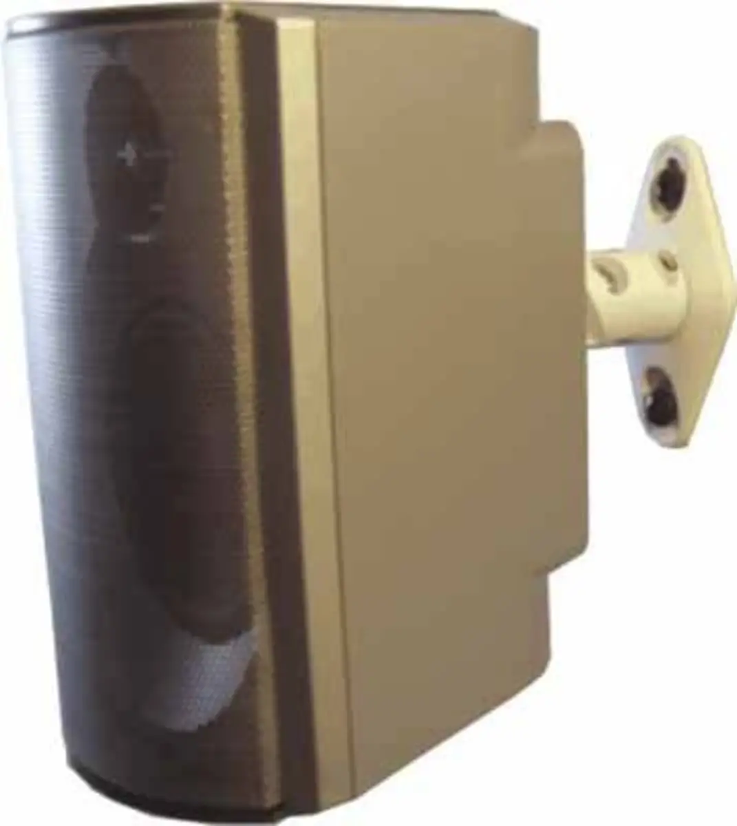 SPEAKER-W100