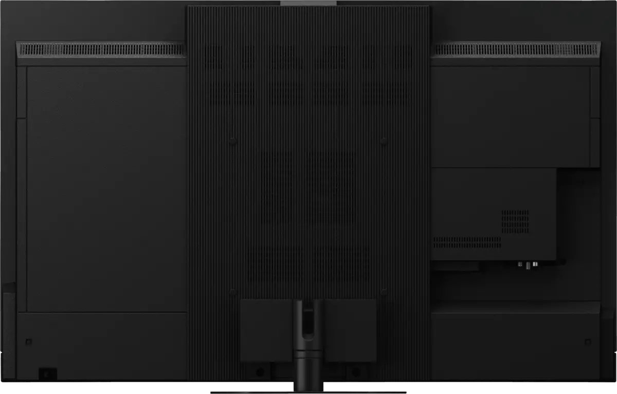 TV-55Z95AEG