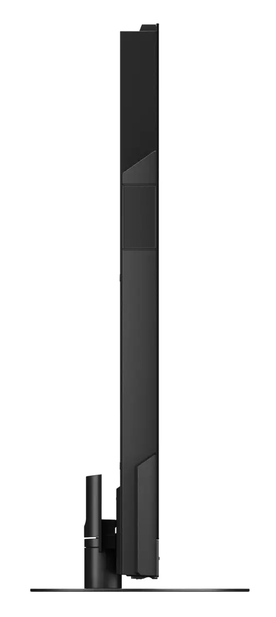 TV-55Z95AEG