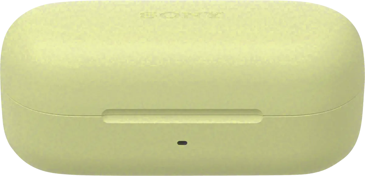 WF-C 510