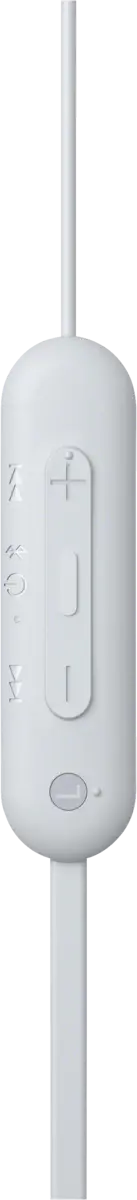 WI-C100