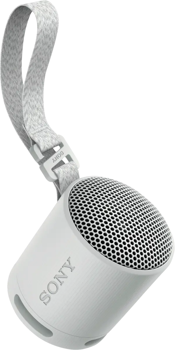SRS-XB 100