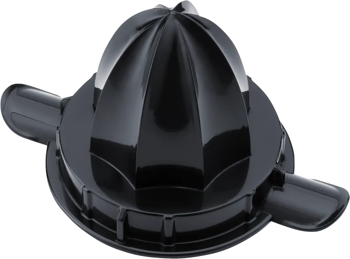 ZP 3