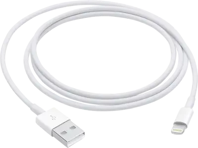 Apple Lightning auf USB Kabel (1 m)