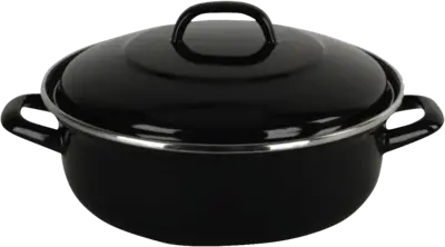 BK Fortalit braadpan 20 cm