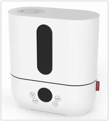 U 250