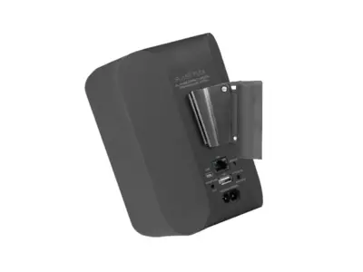 Cavus CMBPFB Muurbeugel voor Bluesound Pulse Flex