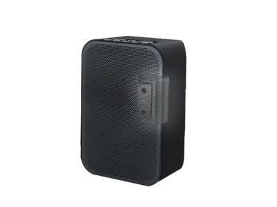 CMBPFB Muurbeugel voor Bluesound Pulse Flex