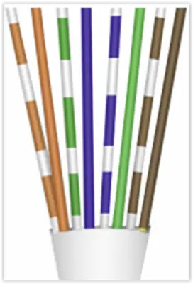 CAT 6 dataconnector RJ 45 met witte thule - 10 stuks