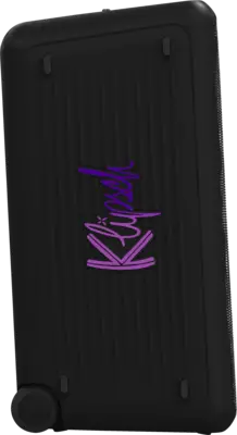 Miami Party Speaker