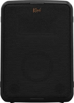 Vegas Party speaker