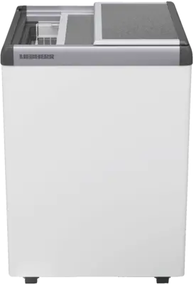 EFE 1500-21