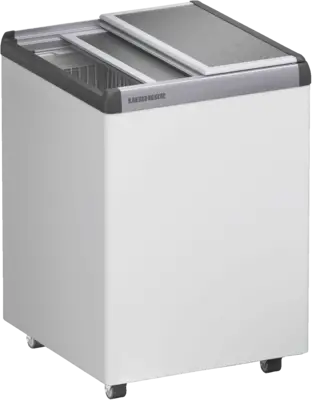 EFE 1500-21