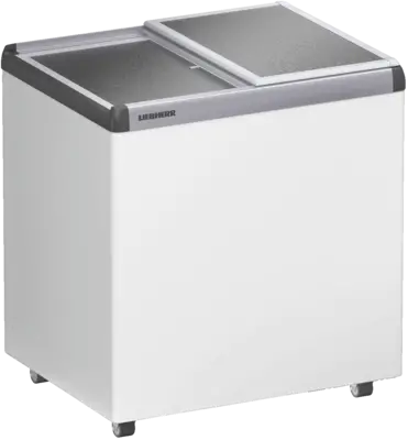 EFE 2200-21