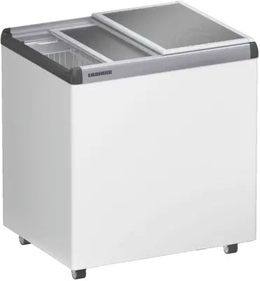 EFE 2200-21