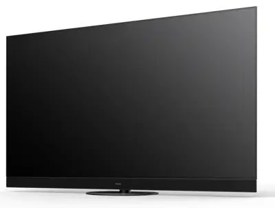 TV-55Z95AEG
