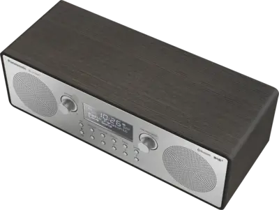 RF-D100BTEGT