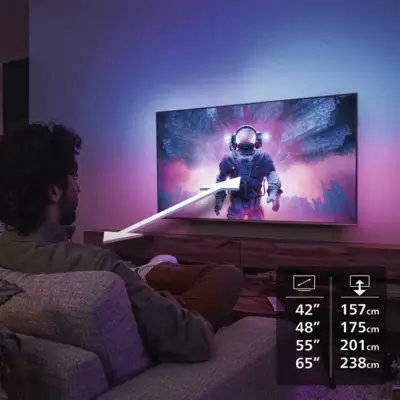 48OLED810/12