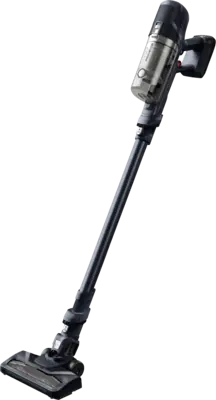 Rowenta RH6831