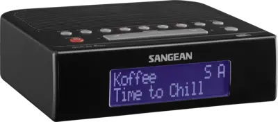 Sangean DCR-89+
