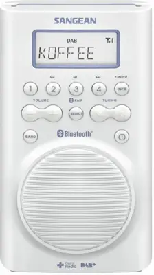 Sangean H-205D BT