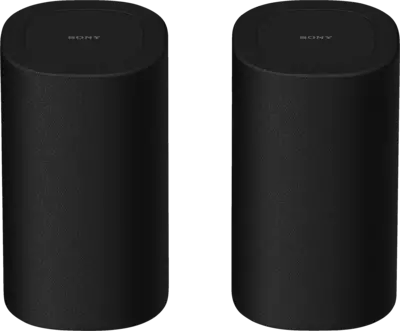 Sony SA-RS8