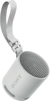 Sony SRS-XB 100