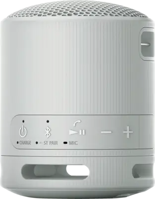 SRS-XB 100