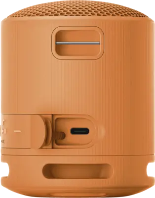 SRS-XB 100