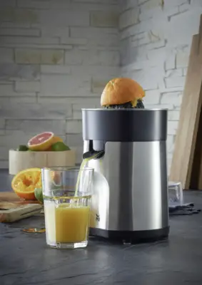 STELIO Citruspers